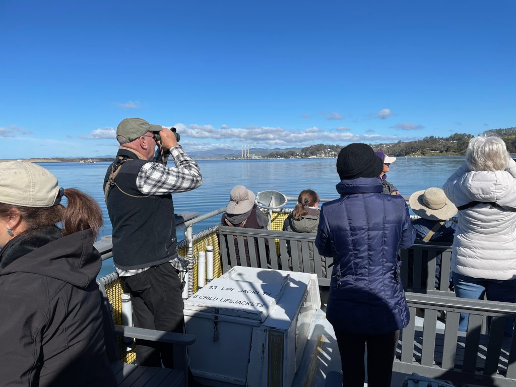 Morro Bay Bird Festival 2025