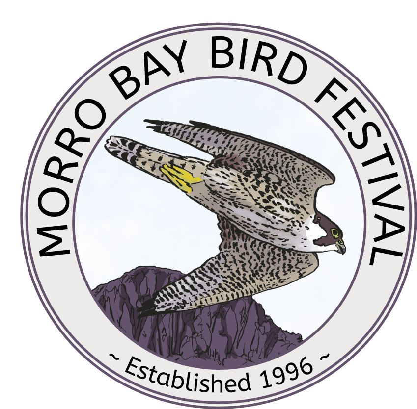 Morro Bay Bird Festival Morro Bay Bird Festival