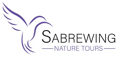 Sabrewing-new-logo